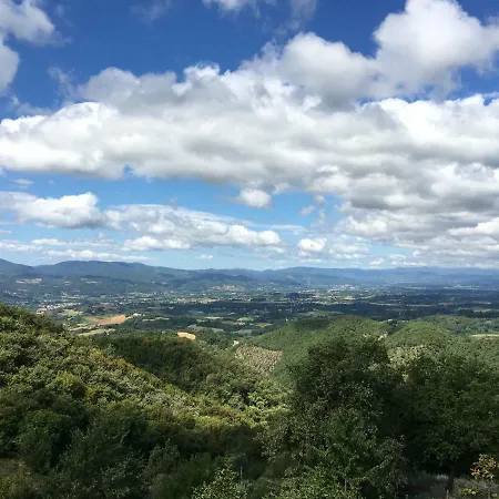 The Crocodile Feel The Nature Apartment *